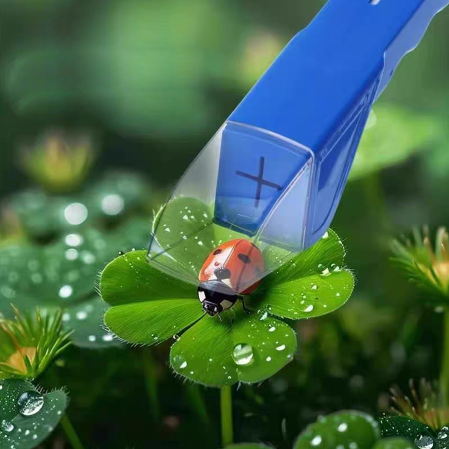 กล่องจับแมลงสำหรับเด็ก พร้อมแว - Kids Outdoor Gifts บทวิจารณ์และราคา